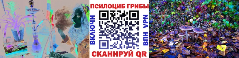 Галлюциногенные грибы мухоморы  наркотики  OMG вход  Цоци-Юрт 