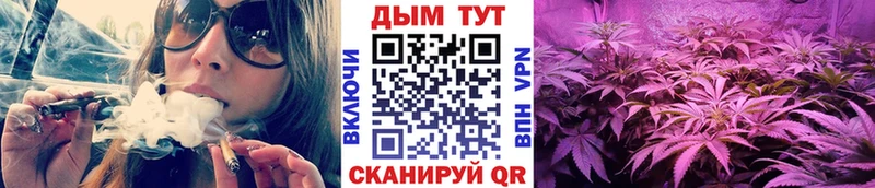 наркошоп  Цоци-Юрт  Бошки марихуана семена 